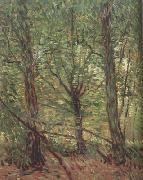Vincent Van Gogh Trees adn Undergrowth (nn04) china oil painting artist